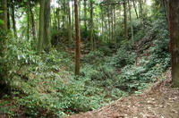 観音山館