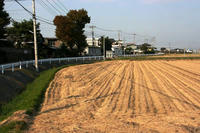 根岸築城跡