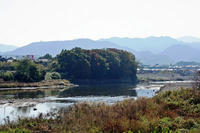 上池館の遠望