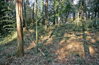 遠山城