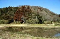本覚山城