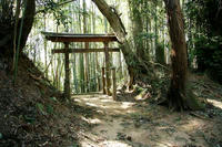 笠神城