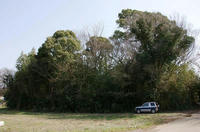 尾崎城