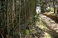 島田城付近の土塁状地形