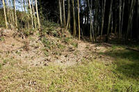 島田城付近の土塁状地形