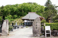 薬師山楯