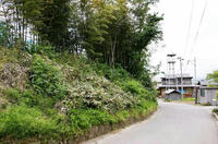 蟹沢館