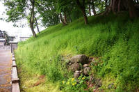 山形城の三の丸土塁