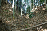 泉城