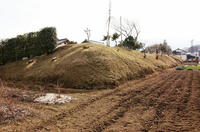 上野屋敷の西側土塁遺構