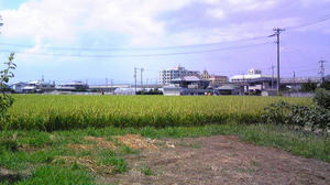 DVC00211.jpg