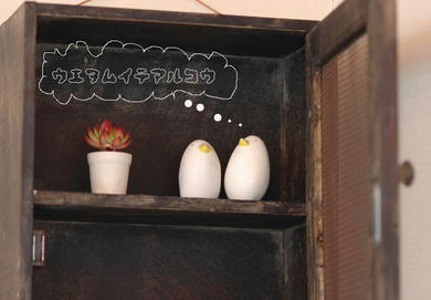 DSC_9031.jpg