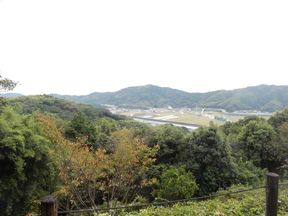 ヤッホー