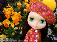 100127_NP3_hfp.jpg
