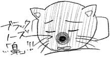 なんで隈じゃないのかな～ってずっと考えてしまたよ