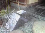 SBSH0339.JPG
