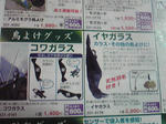 SBSH0340.JPG