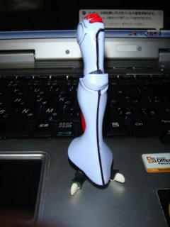 DSC01005.jpg
