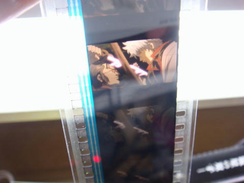 DSC03461.jpg