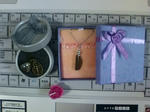 20090526151956.jpg