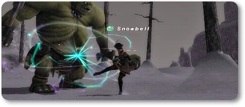 ヒッコリー材を取りに