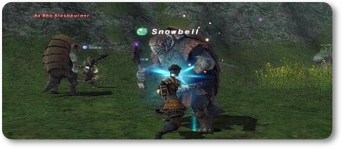 ロランの亀さん