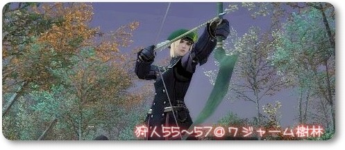 ワジャームコリブリ