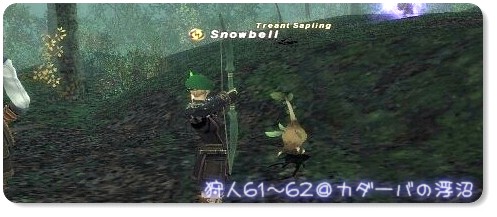 沼の鳥と葉っぱで