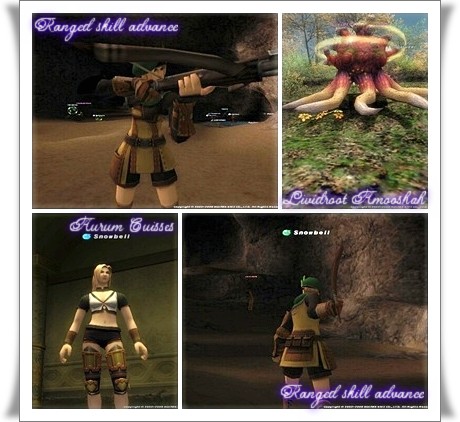 スキル上げと花鳥風月