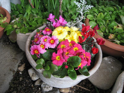 IMG_2003_1.jpg