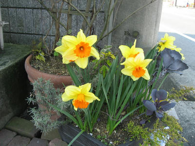 IMG_2711_1.jpg