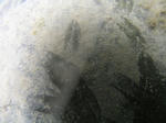 0a745708jpeg