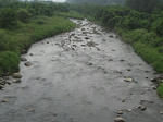 塩川　駒井橋上流