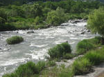03f298cf.jpg