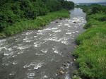 43a05215.jpg