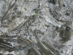 9b7f4e00.jpg