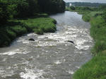 cb8074f8.jpg