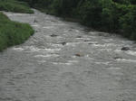 defc3f73.jpg
