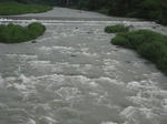 61d035b9.jpg