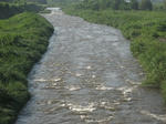4a08f874.jpg