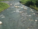 b2977310.jpg