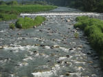 a6821d81.jpg