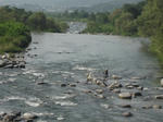 f7829e25.jpg