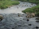 bc85b942.jpg