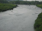 46b40681.jpg