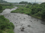 f5451f05.jpg