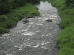 57c9a31d.jpg