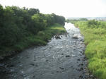 52a9345d.jpg