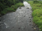 ea097273.jpg