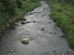 ef7da364.jpg